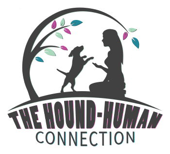 The Hound-Human Connection