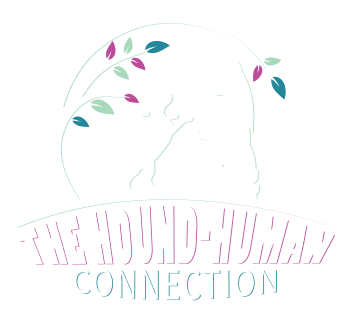 The Hound-Human Connection